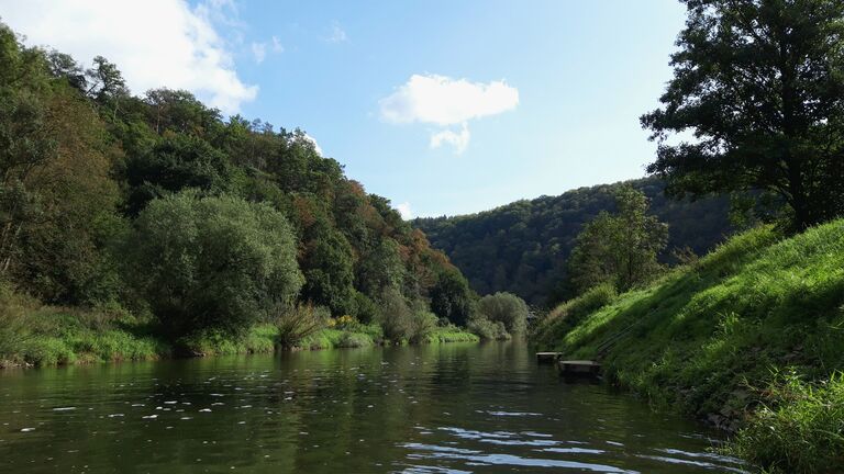 Es ist der Fluss Lahn zu sehen, links und rechts des Ufers befinden sich Bäume und andere Vegetation.