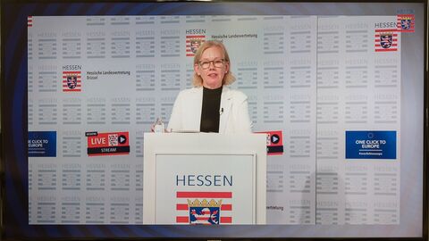 Livestream Brüssel Thema Geldwäsche 