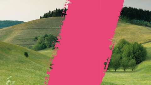 Alter Treffpunkt - neuer Anstrich.