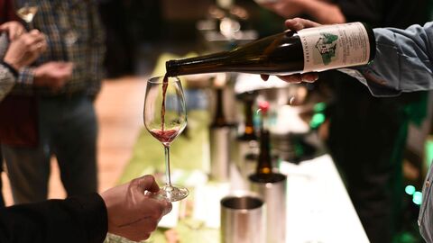 Einmal im Jahr präsentieren hessische Winzerbetriebe ihre Jahrgangsbesten
