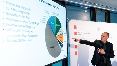 Die morphologischen Grundlagen für die erstaunlichen Gehirnleistungen der Bienen und ihre Bedeutung in Wechselwirkung mit dem Menschen präsentiert Dr. Grünewald in zwei anschaulichen Fachvorträgen.