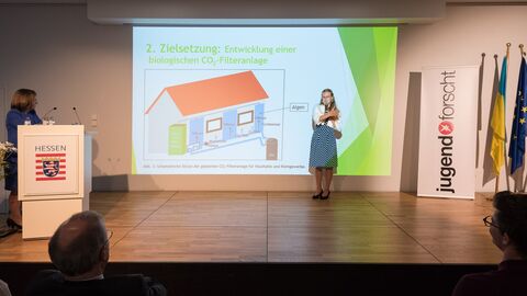 Von maskierten Musikern, CO2-Fressern und bilanzoptimierenden Fotovoltaik-Raffstores