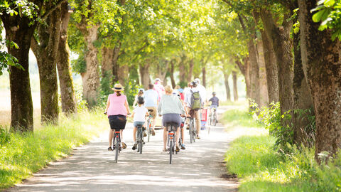Eine Gruppe Radfahrer zwischen Bäumen Eine Gruppe Radfahrer zwischen Bäumen