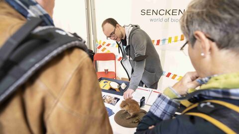 Gäste stehen an einem Stand und erhalten Informationen: Neugierige gesucht! Anleitung zum Forschen gab es bei echten Wissenschaftlern vom Senckenberg Museum