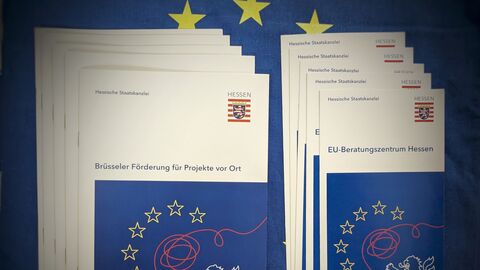 Broschüren und Flyer des EU-Beratungszentrums Broschüren und Flyer des EU-Beratungszentrums