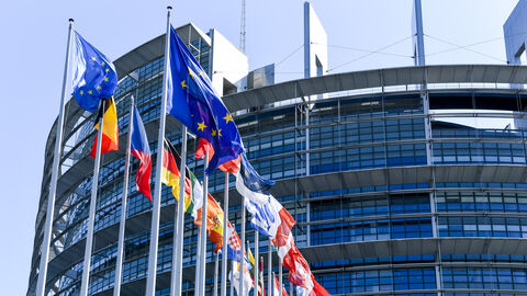 Europäisches Parlament in Straßburg Die Flaggen der EU sowie der EU-Mitgliedstaaten wehen vor dem Europäischen Parlament