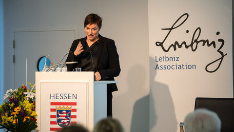 Europas Rolle in der Welt: Wertegeleitete Außenpolitik im Lichte globaler Krisenbewältigung 