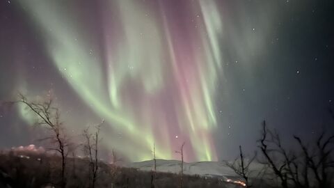Polarlichter in Abisko, Schweden