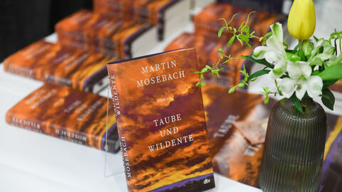 Martin Mosebachs Roman „Taube und Wildente" Exemplare des Buches ausgebreitet auf einem Tisch fotografiert: Martin Mosebachs Roman „Taube und Wildente