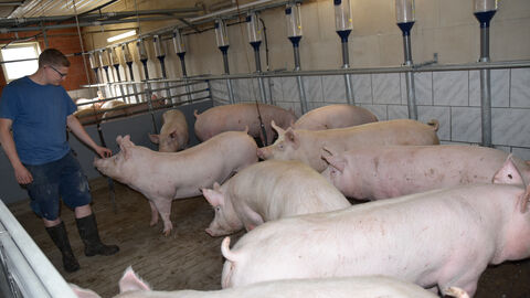 HessenFleisch Schmitt HessenFleisch Schmitt