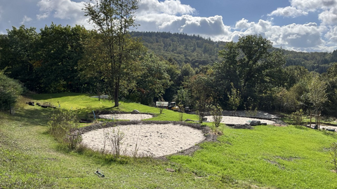 Generationenpark im Waldschwimmbad Generationenpark im Waldschwimmbad