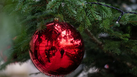 Nahaufnahme einer roten Weihnachtskugel an Tannenzweig